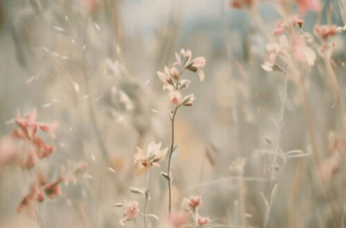 Create Your Dream Digital Scrapbook Backgrounds