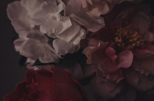 Breathe Life into Any Room with Floral Wallpaper