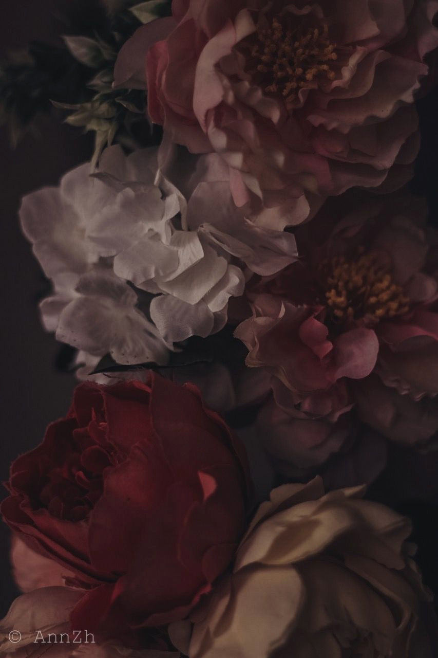 Breathe Life into Any Room with Floral Wallpaper