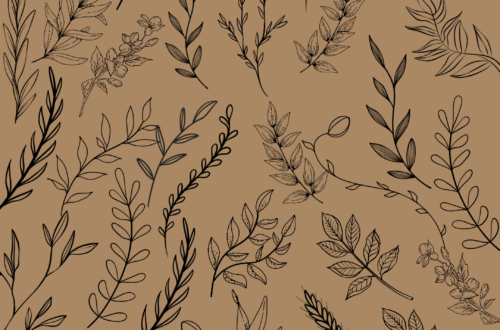 Elevate Your Space: Best Background Aesthetics