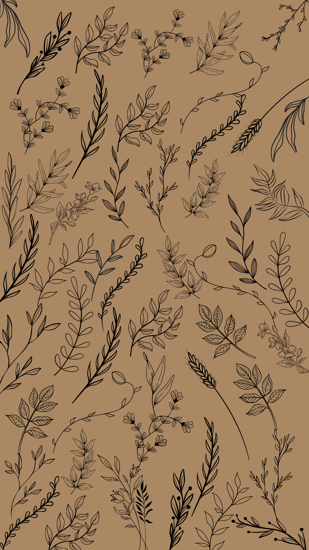 Elevate Your Space: Best Background Aesthetics