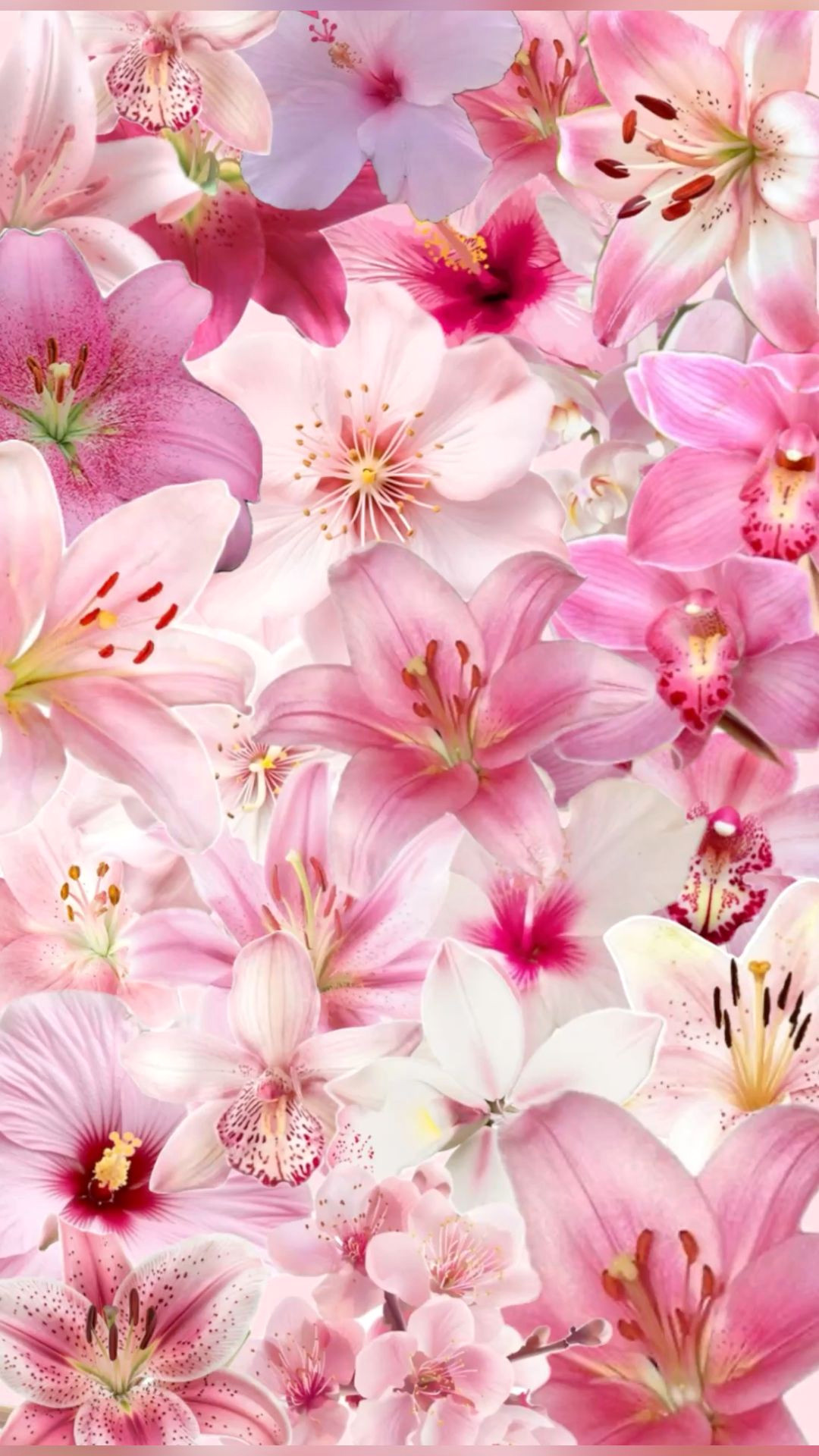 Vibrant Pink Flower Masterpiece Collage