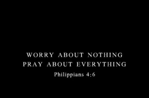 The Savior The Savior