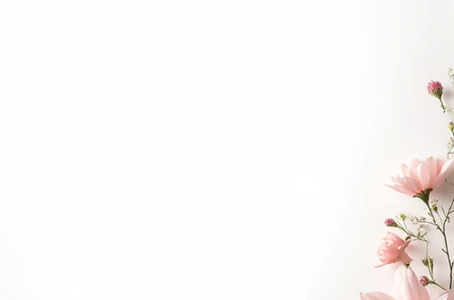 Soft Floral Border for a Clean Start