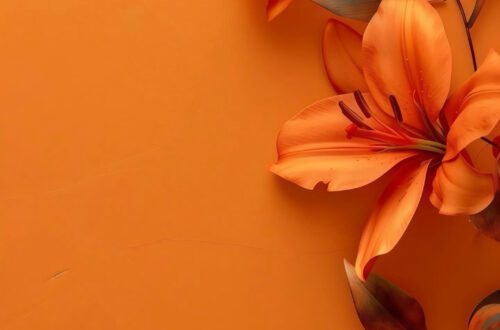 Discover the Mystique of R E E M