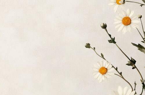 Vibrant Floral Backgrounds Vibrant Floral Backgrounds