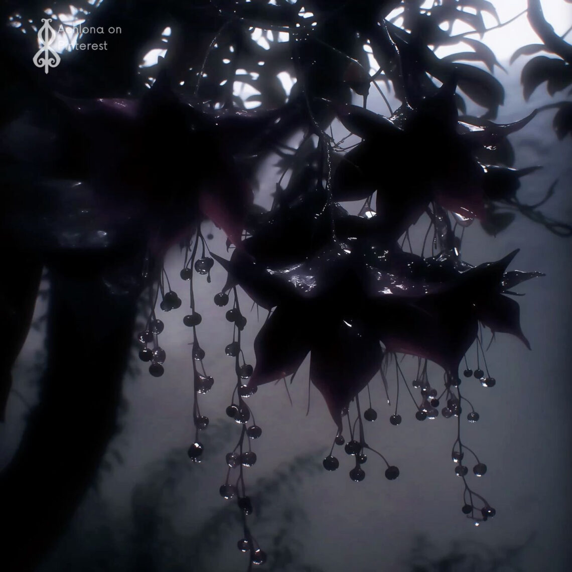 Mysterious Blooms in Dark Elegance