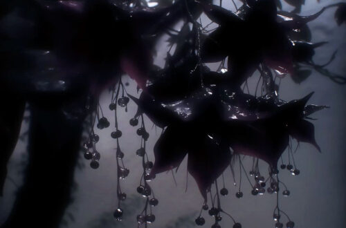 Mysterious Blooms in Dark Elegance