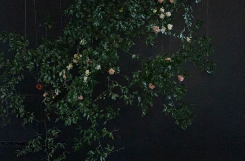 Elegant Dark Wedding Backdrops