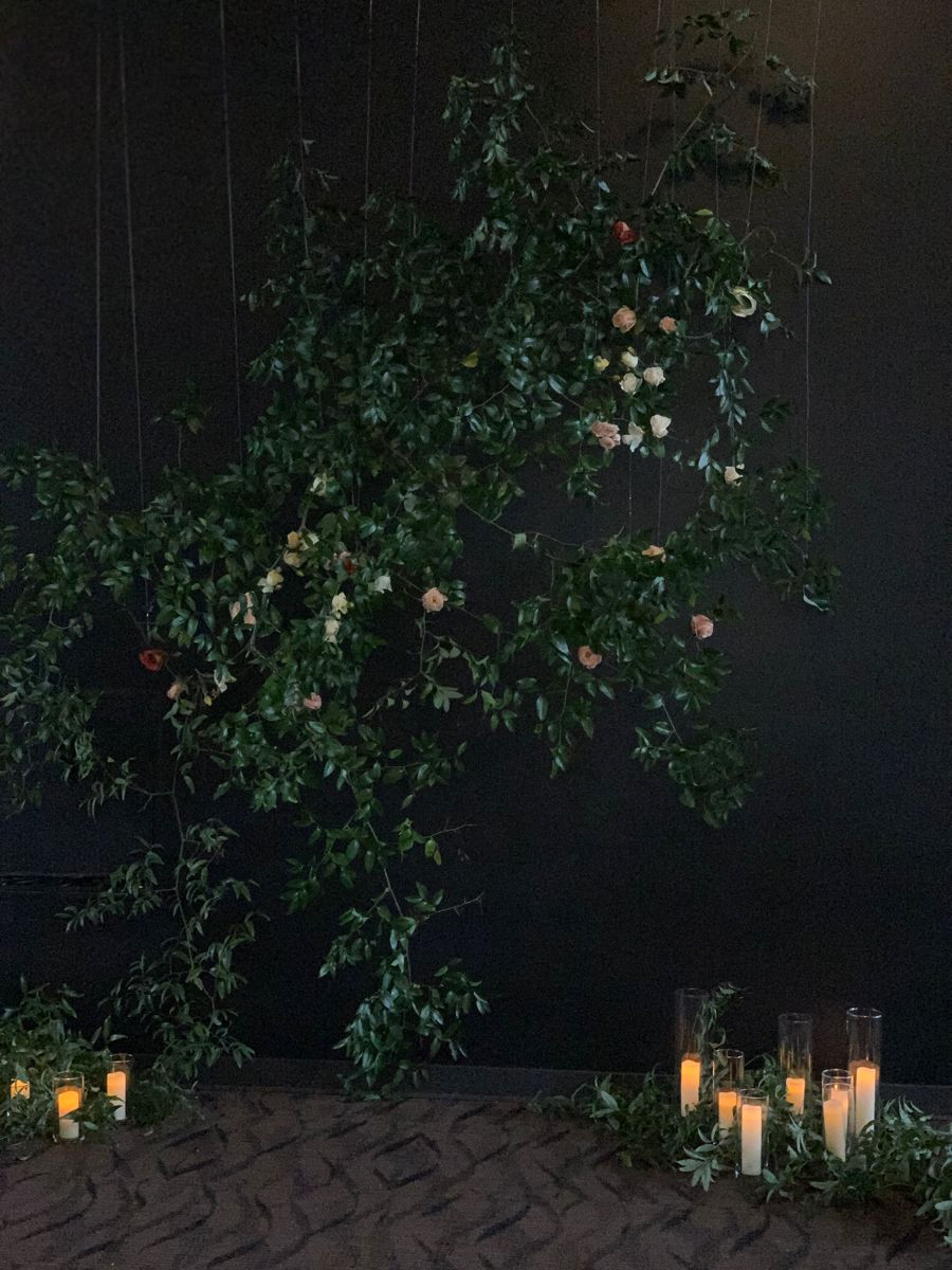 Elegant Dark Wedding Backdrops