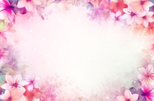 Roses in Focus: Stunning Pink Blooms