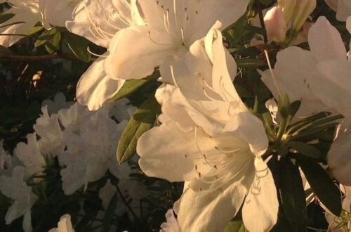 The One Question That Will Test Your Friendships