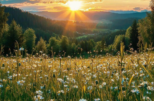 Bring the Outdoors In with These Gorgeous Natural Wallpapers