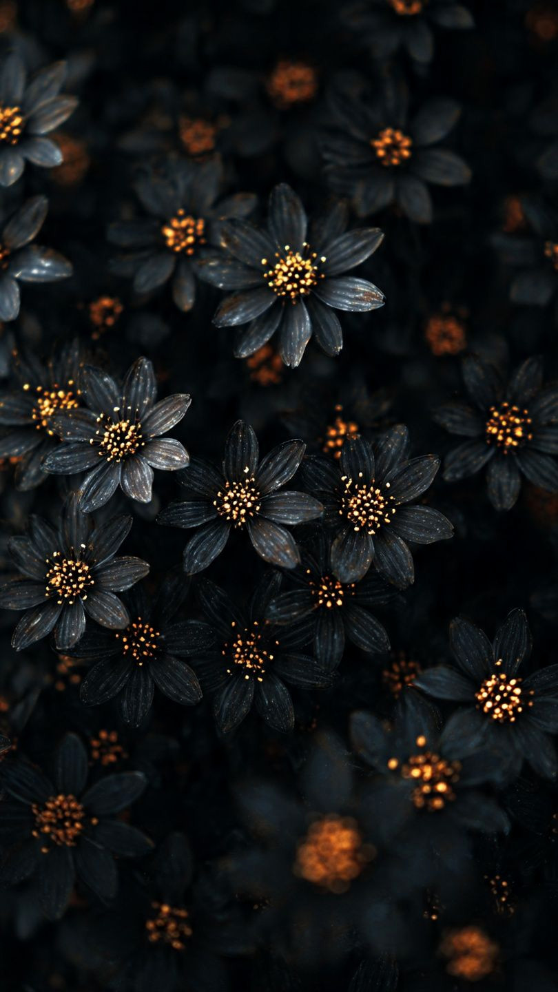 Golden Hour Blossoms: Magical Floral Moments