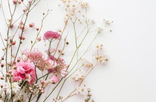 Elegant Pink and White Florals