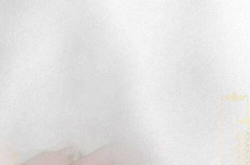 Meet Me: Ajay & Dhruvika on 8/3/24 Meet Me: Ajay & Dhruvika on 8/3/24