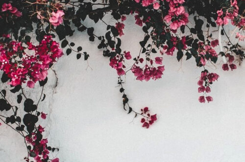 The Truth About [Your Thoughts]