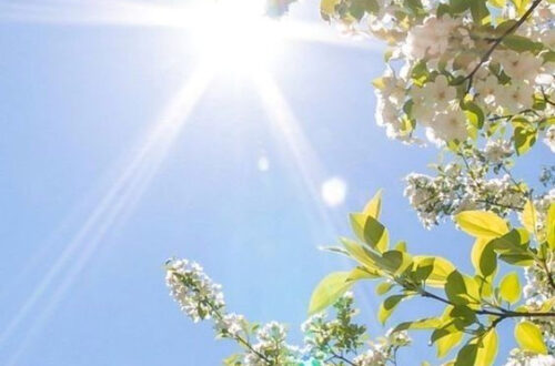 Cozy Lenten Aesthetic: Photos & Wallpapers to Refresh Your Space