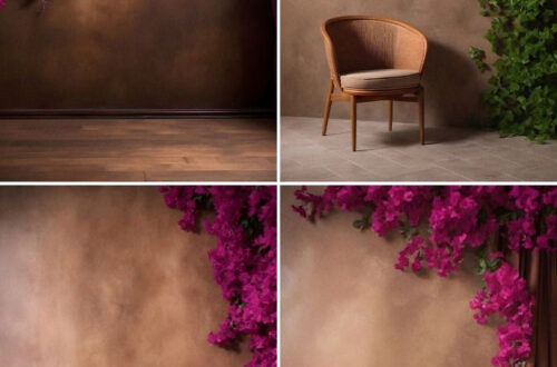 Bougainvillea Blooms in Dreamy Background Scenes