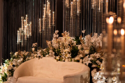 Fall in Love Tonight