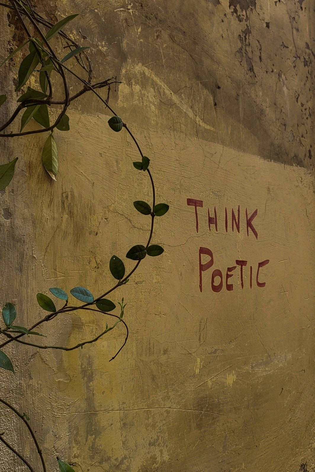 Speak Poetry to Your Soul