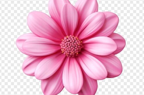 Stunning 3D Rose in Transparency — AI-Generated PSD