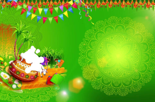 Celebrate Pongal with Stunning Green Screen Backdrops