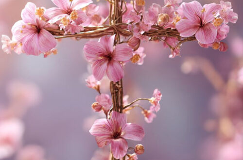 Breathe New Life into Your Phone with Amazing Cross Wallpapers