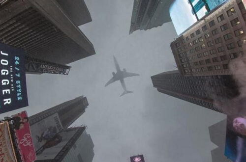 Unlocking Secret Gardens of Vibrant Wonderland Unlocking Secret Gardens of Vibrant Wonderland