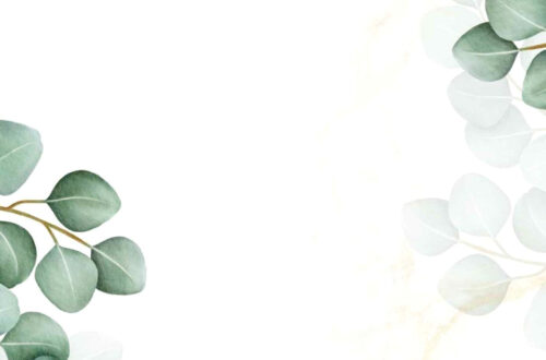 Elegant Eucalyptus Wedding Invites: 18+ Minimalist Templates