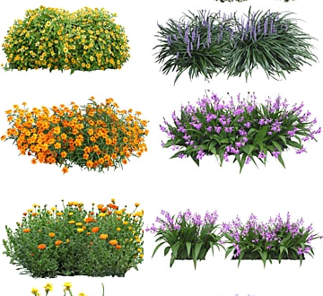 FREE Greenery PNGs for Your Garden Designs