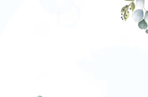 Wedding Invitation Video in Minutes Wedding Invitation Video in Minutes