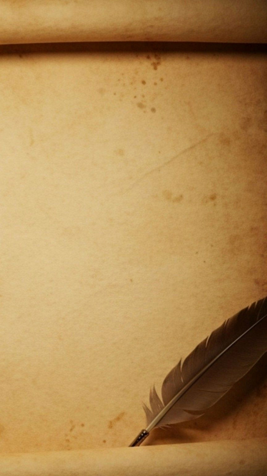 Fluffy Elegance: Boho Feather Backdrops