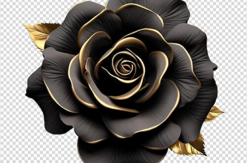 Unleash Romance with This 3D Black Rose Masterpiece