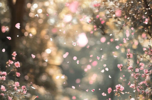 Bloom Your Phone with Free Floral Wallpaper Downloads Bloom Your Phone with Free Floral Wallpaper Downloads