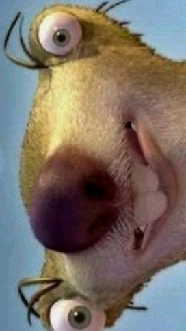 Sid: Meet Your New BFF