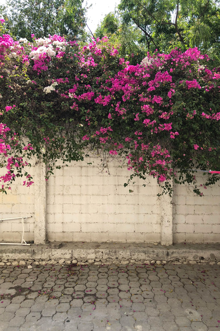 Designers’ Top Fall/Winter Fashion Inspo Revealed