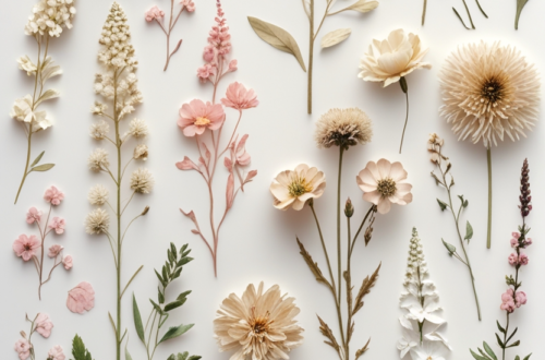 Wild Flowers That Will Steal Your Heart