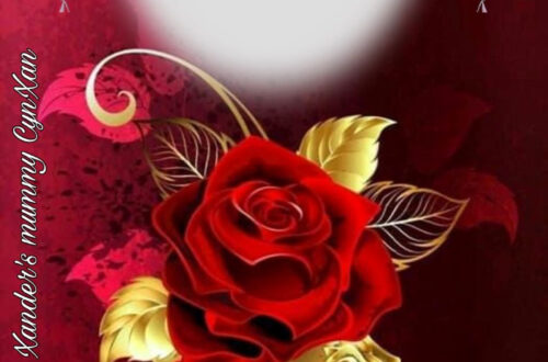 Birthday Magic for Xander: Gold, Red, and Cheers