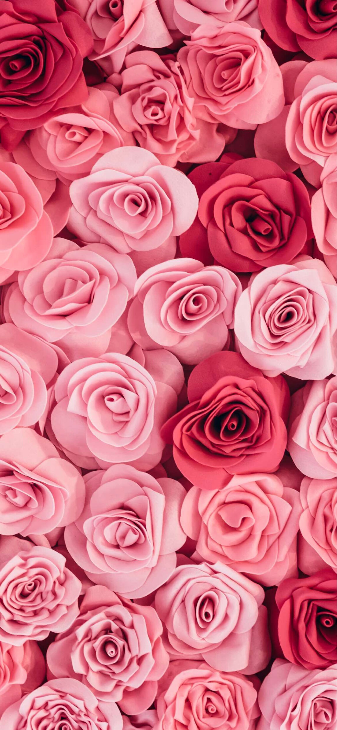 50 Adorable Valentine’s Day Wallpapers for Your Phone