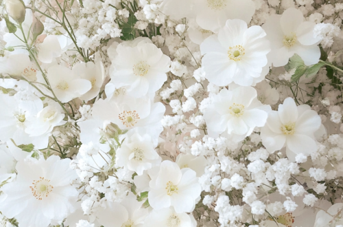 Blissful Garden Backdrops For Your Walls