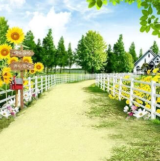 Sunflower Oasis: Dreamy Backdrop for Your Next Shoot