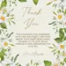 Free Daisy Birthday Thank You Cards