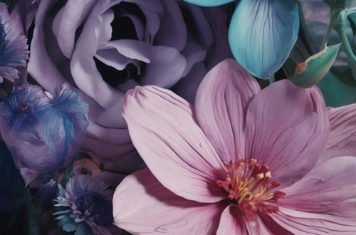 Bloom Your iPhone with 17 Jaw-Dropping Flower Wallpapers