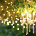 Enchanting Outdoor Lighting Ideas for Your Dream Wedding