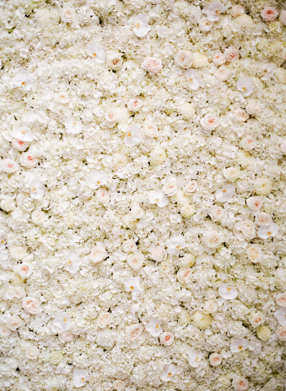 Elevate Your Style: Luxe Home Decor Ideas