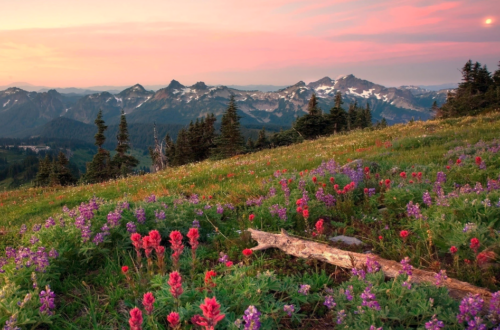 Epic Mountain Landscapes: Stunning Nature Wallpapers for Your Phone