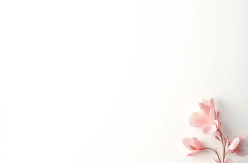 Breathtaking White Canvas Wedding Invitations Breathtaking White Canvas Wedding Invitations