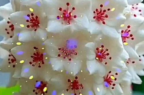 Breathtaking Landscapes