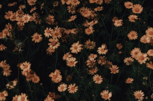 Captivating Travel Photos That Will Inspire You